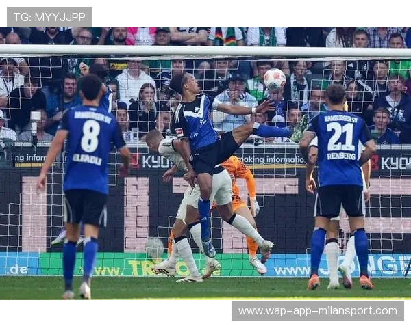 奥格斯堡主场迎战汉堡赛前要点全面解读引领胜利新方向